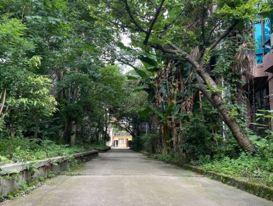 贵州德芬高考补习学校