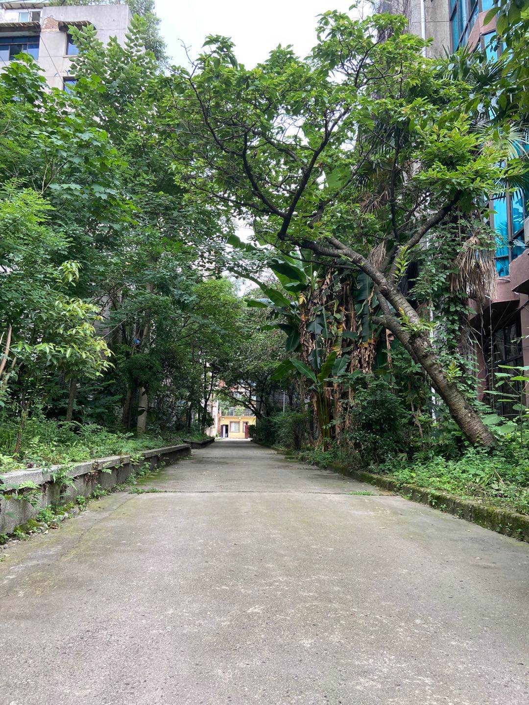 贵州德芬高考补习学校